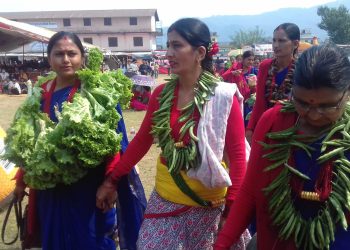 आलु महोत्सवमा कृषि गीत प्रतियोगिता