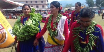 आलु महोत्सवमा कृषि गीत प्रतियोगिता