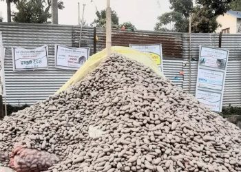 महोत्सवमा ४० टन आलुको कारोवार