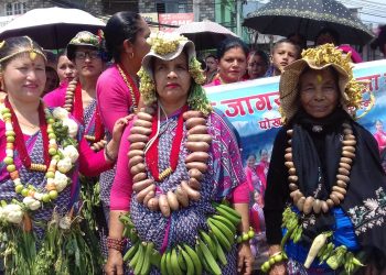 आलु महोत्सव सुरु