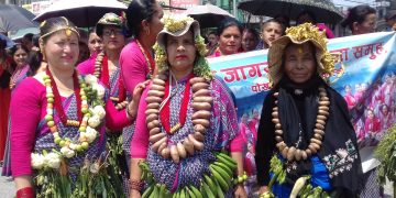 आलु महोत्सव सुरु