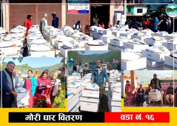 पोखरा १६ लाई मौरी पालनको पकेट क्षेत्रका रूपमा विकास गरिने