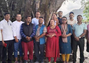 देवीस्थान टाेल विकास संस्था पुर्नगठन,अध्यक्षमा  कृष्णमान श्रेष्ठ