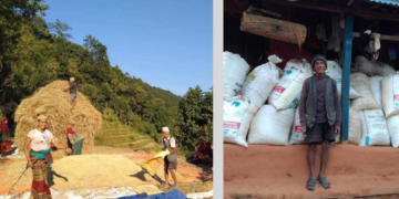 ७५ बर्षको उमेरमा २८ मुरी धान, माईला बा !