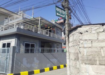 दैउसी भैलाे खेलेरै समाजसेवामा….