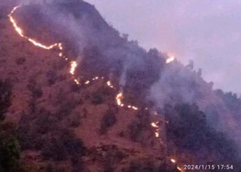 सामुदायीक बनमा आगलागी, स्थानीय   चिन्ता