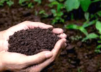 माटो जाँचको लागि किसानलाई आव्हान