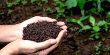 माटो जाँचको लागि किसानलाई आव्हान