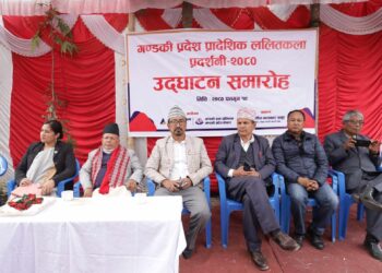 पोखरा आर्ट ग्यालरीमा प्रादेशिक ललितकला प्रदर्शनी सुरु