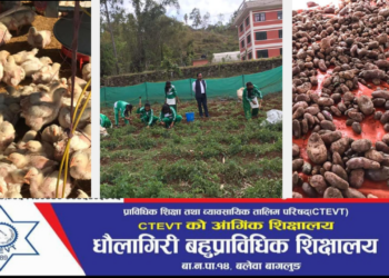 धौलागिरी वहुप्राविधिक शिक्षालय  प्राविधिक जनशक्ति उत्पादन गर्न अब्बल बन्दै