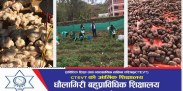 धौलागिरी वहुप्राविधिक शिक्षालय  प्राविधिक जनशक्ति उत्पादन गर्न अब्बल बन्दै