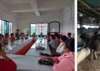 दुध उत्पादनमा लगानी विस्तार गर्दै महिला सहकारी