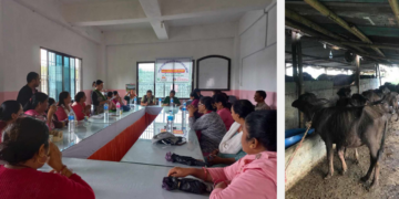 दुध उत्पादनमा लगानी विस्तार गर्दै महिला सहकारी