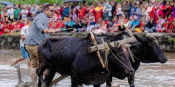 हेमजा हिले महोत्सवको तयारी तीव्र