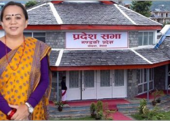 “अपाङ्गता अधिकार कानूनले समावेशी समाजको निर्माणमा टेवा पुर्‍याउनेछ”:सांसद सरस्वती गुरुङ्ग