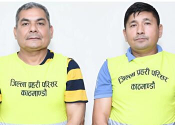 दुर्गा प्रसाईं र दीपक खड्का १२ दिनको हिरासतमा: काठमाडौं जिल्ला अदालतको आदेश