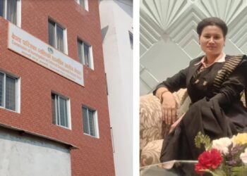 बेपत्ता छानबिन आयोग सदस्यमा पोखराकी विनिता नेपाली नियुक्त