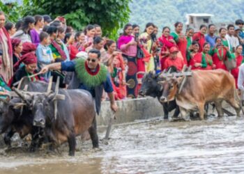 हेमजा स्थित देवीस्थान सेवा समाजले पाचौ हेमजा हिलो महोत्सव–२०८२ सम्पन्न